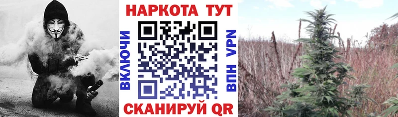 Наркота Южно-Сахалинск КОКАИН  ГАШ  АМФ  Марихуана 
