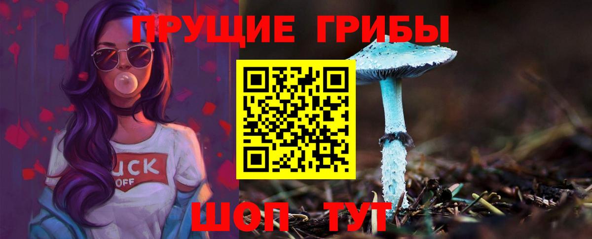 Псилоцибиновые грибы Psilocybe  Псилоцибиновые грибы Cubensis  хочу   Вход с VPN  Южно-Сахалинск 